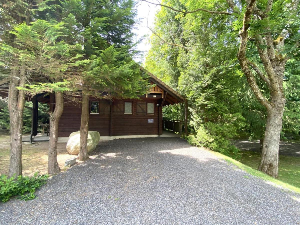 Le Renard Chalet En Bois La Bresse Exterior foto